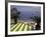 View of Mazzaro Beach from Restaurant, Taormina, Sicily, Italy-Connie Ricca-Framed Photographic Print