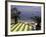 View of Mazzaro Beach from Restaurant, Taormina, Sicily, Italy-Connie Ricca-Framed Photographic Print