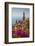 View of Medieval Menton and Basilique Saint Michel, Alpes-Maritimes, Cote D'Azur-Frank Fell-Framed Photographic Print