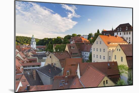 View of Meissen, Saxony, Germany, Europe-Ian Trower-Mounted Photographic Print