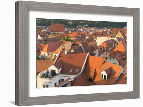 View of Meissen, Saxony, Germany, Europe-Ian Trower-Framed Photographic Print