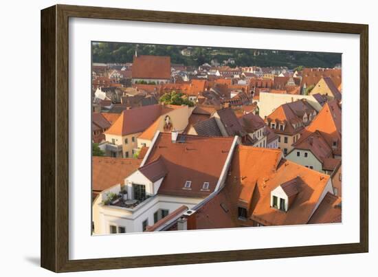 View of Meissen, Saxony, Germany, Europe-Ian Trower-Framed Photographic Print