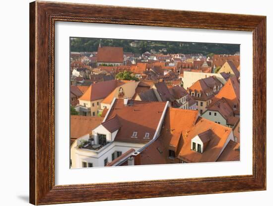 View of Meissen, Saxony, Germany, Europe-Ian Trower-Framed Photographic Print