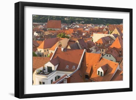 View of Meissen, Saxony, Germany, Europe-Ian Trower-Framed Photographic Print