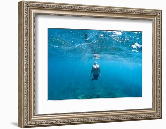 View of Mermaid Swimming in Ocean, Hawaii, USA-null-Framed Photographic Print