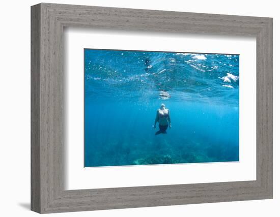 View of Mermaid Swimming in Ocean, Hawaii, USA-null-Framed Photographic Print