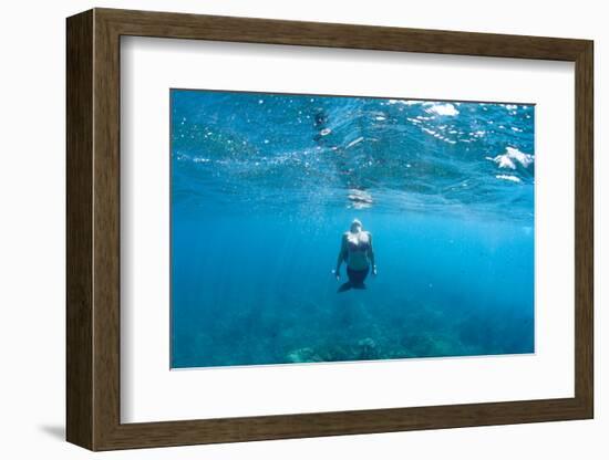 View of Mermaid Swimming in Ocean, Hawaii, USA-null-Framed Photographic Print