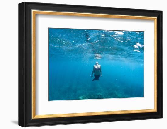 View of Mermaid Swimming in Ocean, Hawaii, USA-null-Framed Photographic Print