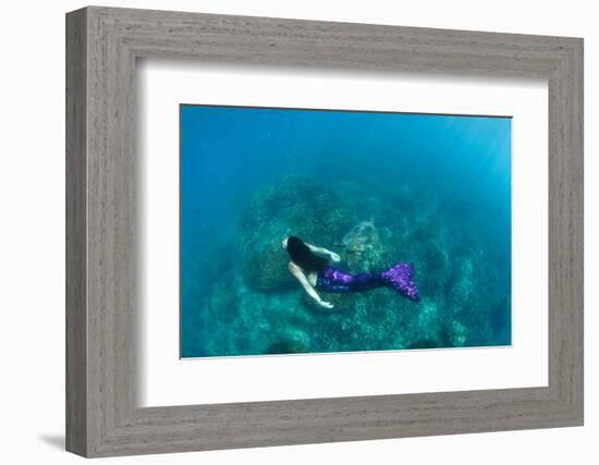 View of Mermaid Swimming in Ocean, Hawaii, USA-null-Framed Photographic Print