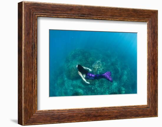 View of Mermaid Swimming in Ocean, Hawaii, USA-null-Framed Photographic Print