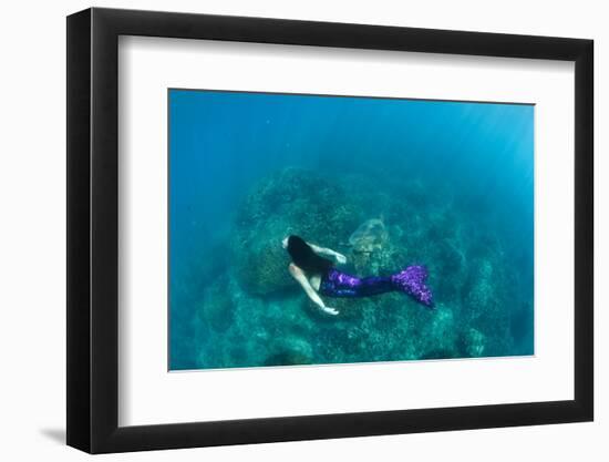 View of Mermaid Swimming in Ocean, Hawaii, USA-null-Framed Photographic Print