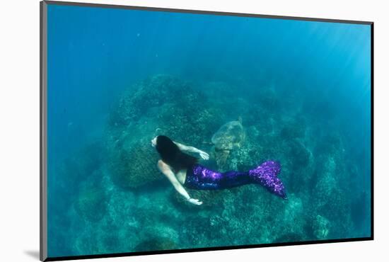 View of Mermaid Swimming in Ocean, Hawaii, USA-null-Mounted Photographic Print