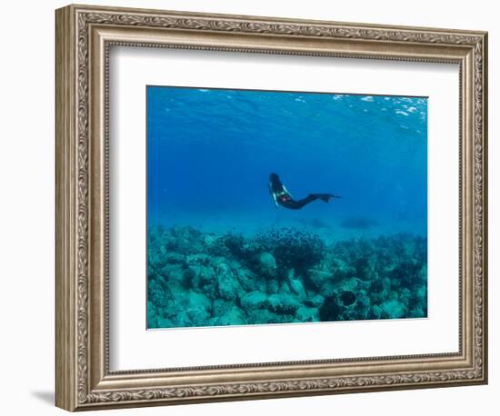 View of Mermaid Swimming Undersea, Hawaii, USA-null-Framed Photographic Print
