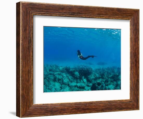 View of Mermaid Swimming Undersea, Hawaii, USA-null-Framed Photographic Print