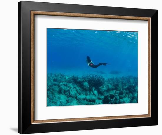 View of Mermaid Swimming Undersea, Hawaii, USA-null-Framed Photographic Print