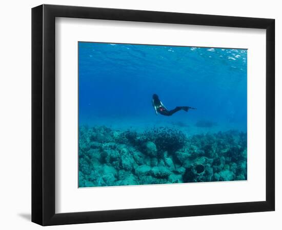 View of Mermaid Swimming Undersea, Hawaii, USA-null-Framed Photographic Print