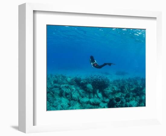 View of Mermaid Swimming Undersea, Hawaii, USA-null-Framed Photographic Print