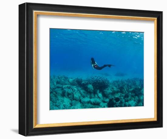 View of Mermaid Swimming Undersea, Hawaii, USA-null-Framed Photographic Print