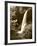 View of Middle North Falls, Silver Falls State Park, Oregon, USA-Adam Jones-Framed Photographic Print