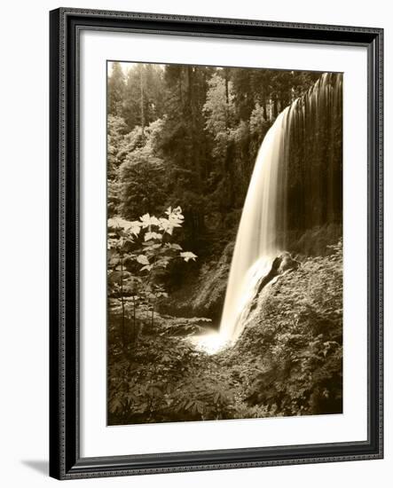 View of Middle North Falls, Silver Falls State Park, Oregon, USA-Adam Jones-Framed Photographic Print