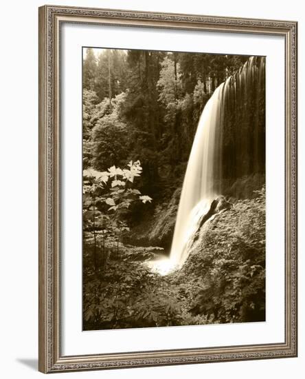 View of Middle North Falls, Silver Falls State Park, Oregon, USA-Adam Jones-Framed Photographic Print