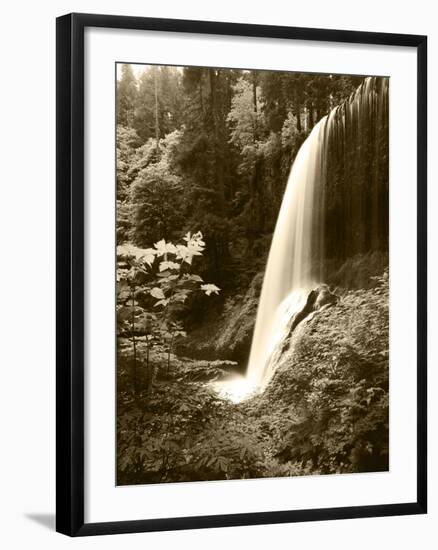 View of Middle North Falls, Silver Falls State Park, Oregon, USA-Adam Jones-Framed Photographic Print