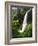 View of Middle North Falls, Silver Falls State Park, Oregon, USA-Adam Jones-Framed Photographic Print