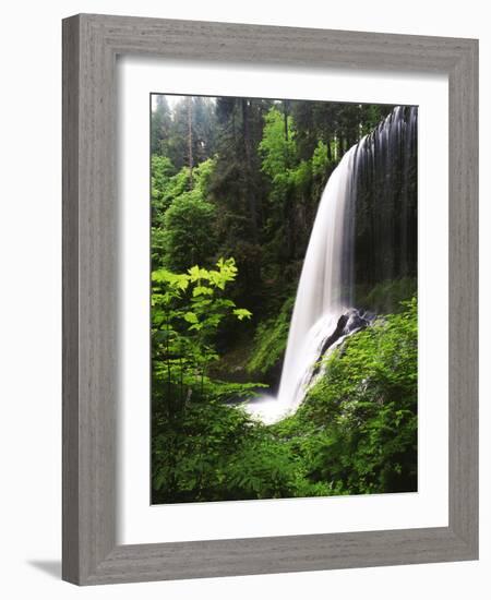 View of Middle North Falls, Silver Falls State Park, Oregon, USA-Adam Jones-Framed Photographic Print