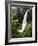 View of Middle North Falls, Silver Falls State Park, Oregon, USA-Adam Jones-Framed Photographic Print