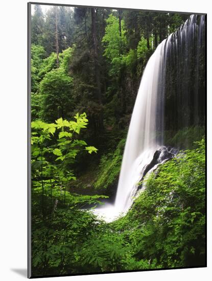 View of Middle North Falls, Silver Falls State Park, Oregon, USA-Adam Jones-Mounted Photographic Print