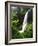View of Middle North Falls, Silver Falls State Park, Oregon, USA-Adam Jones-Framed Photographic Print