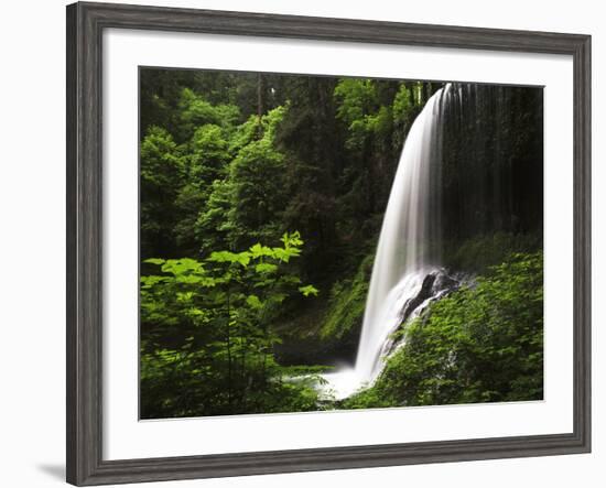 View of Middle North Falls, Silver Falls State Park, Oregon, USA-Adam Jones-Framed Photographic Print