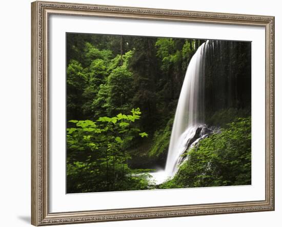 View of Middle North Falls, Silver Falls State Park, Oregon, USA-Adam Jones-Framed Photographic Print