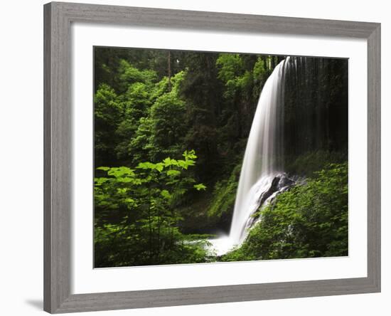 View of Middle North Falls, Silver Falls State Park, Oregon, USA-Adam Jones-Framed Photographic Print