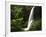 View of Middle North Falls, Silver Falls State Park, Oregon, USA-Adam Jones-Framed Photographic Print