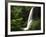 View of Middle North Falls, Silver Falls State Park, Oregon, USA-Adam Jones-Framed Photographic Print