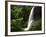 View of Middle North Falls, Silver Falls State Park, Oregon, USA-Adam Jones-Framed Photographic Print