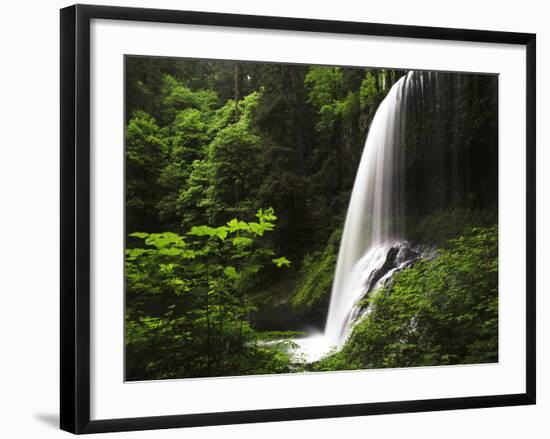 View of Middle North Falls, Silver Falls State Park, Oregon, USA-Adam Jones-Framed Photographic Print