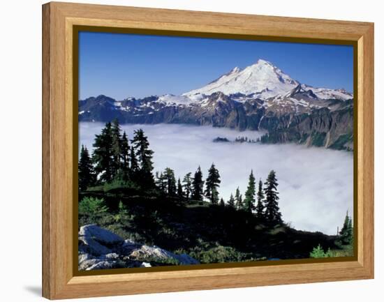 View of Mount Baker from Artist's Point, Snoqualmie National Forest, Washington, USA-William Sutton-Framed Premier Image Canvas