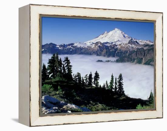 View of Mount Baker from Artist's Point, Snoqualmie National Forest, Washington, USA-William Sutton-Framed Premier Image Canvas