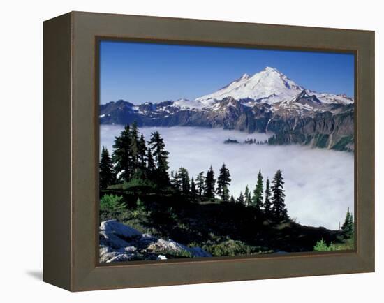 View of Mount Baker from Artist's Point, Snoqualmie National Forest, Washington, USA-William Sutton-Framed Premier Image Canvas