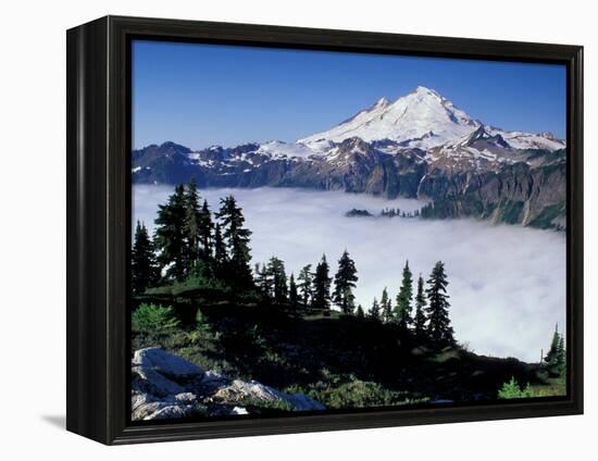 View of Mount Baker from Artist's Point, Snoqualmie National Forest, Washington, USA-William Sutton-Framed Premier Image Canvas