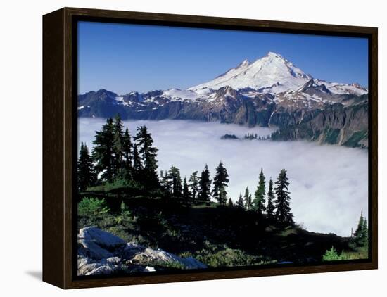 View of Mount Baker from Artist's Point, Snoqualmie National Forest, Washington, USA-William Sutton-Framed Premier Image Canvas