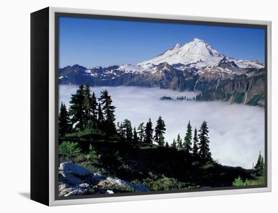 View of Mount Baker from Artist's Point, Snoqualmie National Forest, Washington, USA-William Sutton-Framed Premier Image Canvas