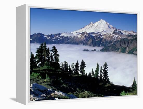 View of Mount Baker from Artist's Point, Snoqualmie National Forest, Washington, USA-William Sutton-Framed Premier Image Canvas