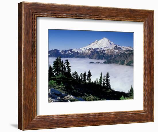 View of Mount Baker from Artist's Point, Snoqualmie National Forest, Washington, USA-William Sutton-Framed Photographic Print