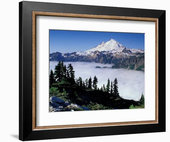 View of Mount Baker from Artist's Point, Snoqualmie National Forest, Washington, USA-William Sutton-Framed Photographic Print