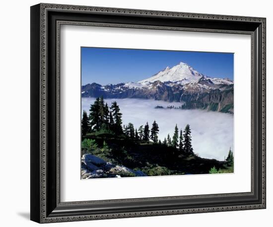 View of Mount Baker from Artist's Point, Snoqualmie National Forest, Washington, USA-William Sutton-Framed Photographic Print