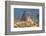 View of Mount Fitzroy Near El Chalten at Sunrise, Patagonia, Argentina, South America-Michael Runkel-Framed Photographic Print