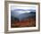 View of Mount Hood with Wild Huckleberry Bushes in Foreground, Columbia River Gorge, Washington-Steve Terrill-Framed Photographic Print